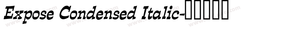 Expose Condensed Italic字体转换